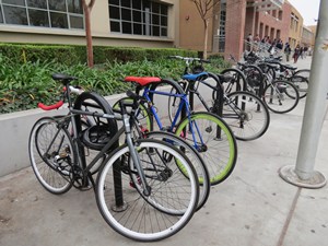IMG_0972